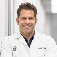Lior Zangi