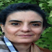 Styliani A. Geronikolou