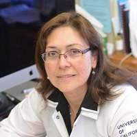 Luisa Iruela-Arispe