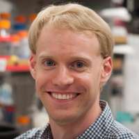 Andrew Kruse