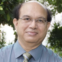 Deepak L. Waikar