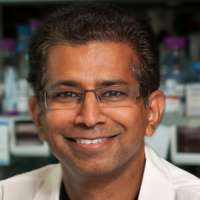 Senthil Kumar Muthuswamy