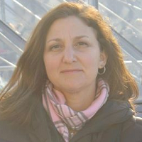 Elizabeth Chapman Shaid