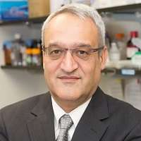 Mohammad Javad Aman