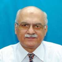 Syed Muhammad Kamran Majeed