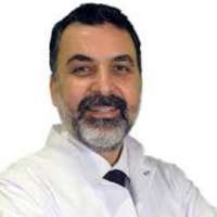 Levent N. Turkeri