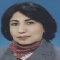 Zeynep Aydogmus