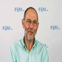 Norbert Perrimon