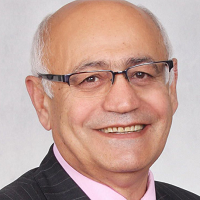 Adil Askerovich Mamedov