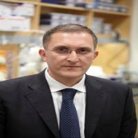 Andrea Baccarelli