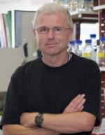 Andreas Strasser
