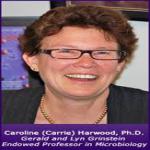 Caroline Harwood