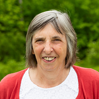 Christine A. Raines