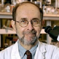 Theodore Friedmann