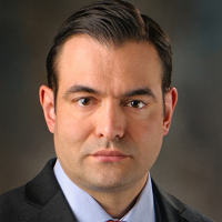 Mark Victor Schaverien