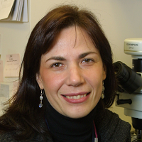 Sabina Signoretti