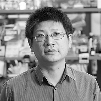 Hongjun Song