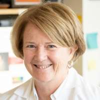 Mary-ellen Taplin
