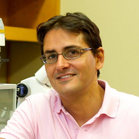 Christos Vaklavas