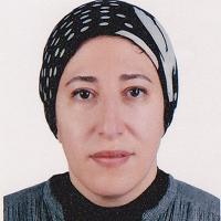Nehad Kotb