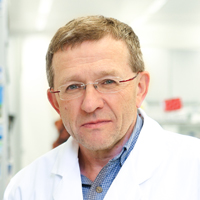 Vladimir Benes