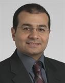 Hesham A. Elsharkawy