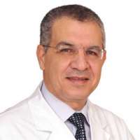 Mohsen Mohamed El-Mekresh