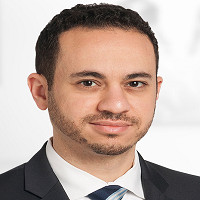 Haitham M. Ahmed