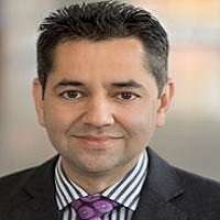 A. Hamed Amani
