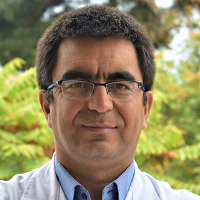 Masoud Khoshnia