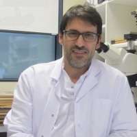 Arnaud De la Fouchardiere