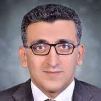 Wael Darwish