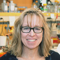 Vicki Rosen