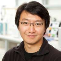 Yingguang Frank Chan