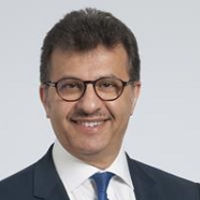 Hani K. Najm