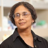 Anjana Rao