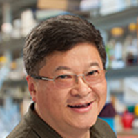 Terry Hwa
