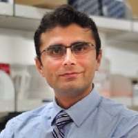 Pankaj K. Singh
