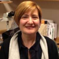 Rachel Allison Altura