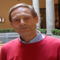 David Fitchett 