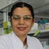 Sibel Silici