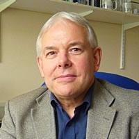 Stephen Wilson