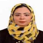 Reham Abdellatif Elrashidy