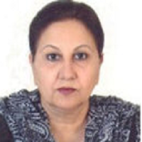 Talat Mirza