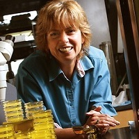 Monica A. Driscoll