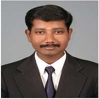 P. Vijaya Krishnan