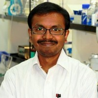 Nagalingam Ravi Sundaresan