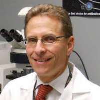 David Bleich