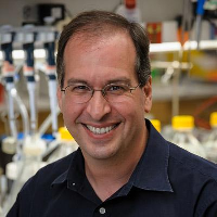 Michael K. Rosen