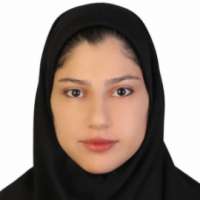 Bahareh Amiri